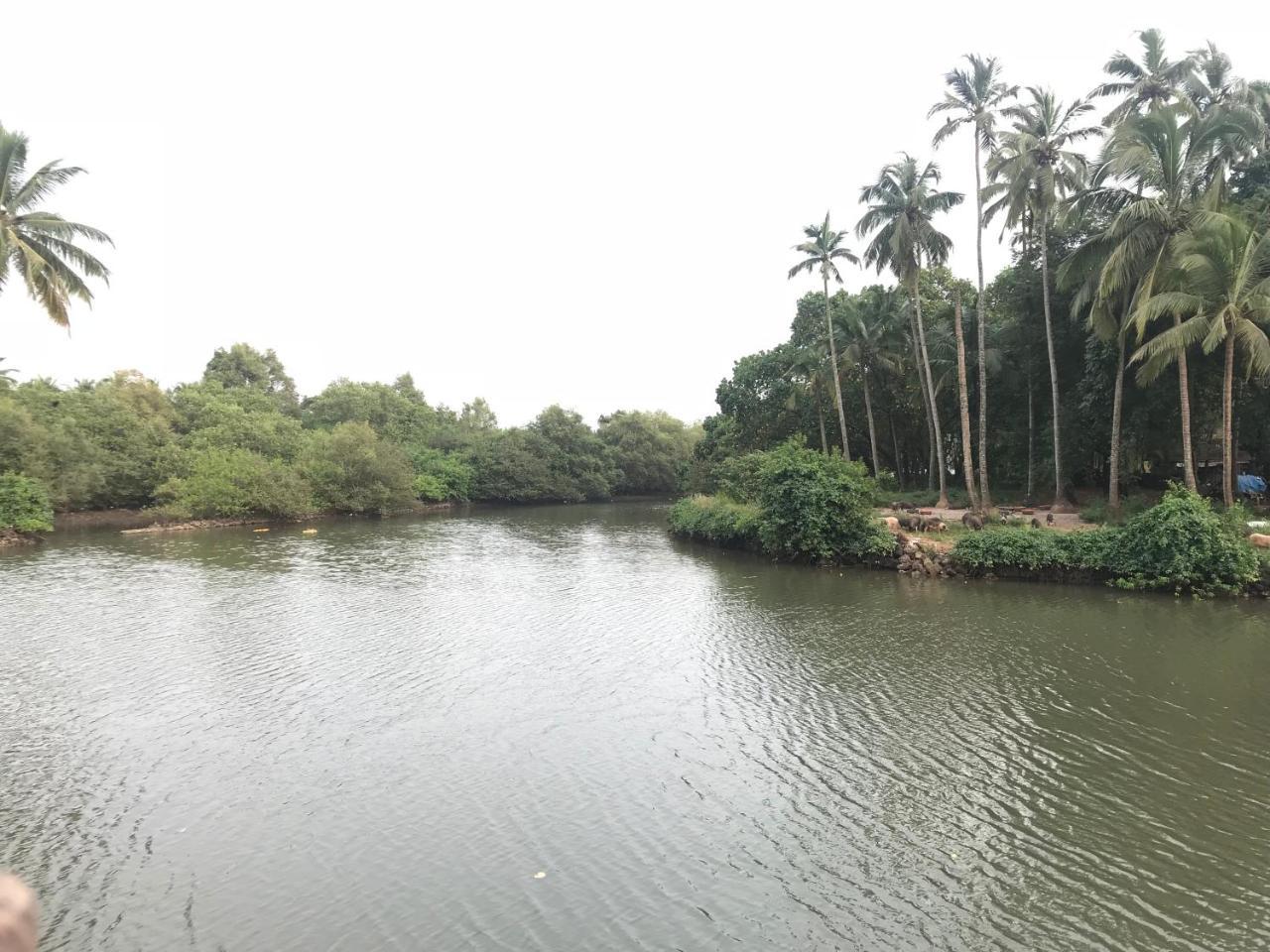Rankk Stays Arambol Exterior photo